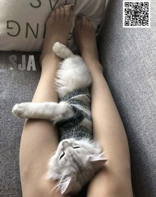 亚洲日韩欧美一区二区三区_4K免费观看视频